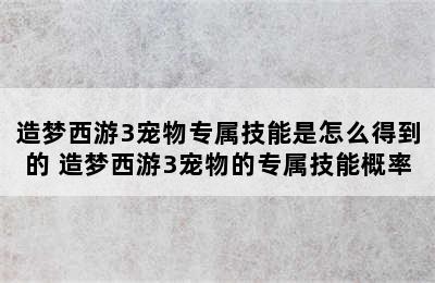 造梦西游3宠物专属技能是怎么得到的 造梦西游3宠物的专属技能概率